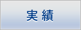 実績
